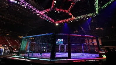 Октагон UFC