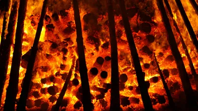 Масштабный пожар разгорелся в Калифорнии