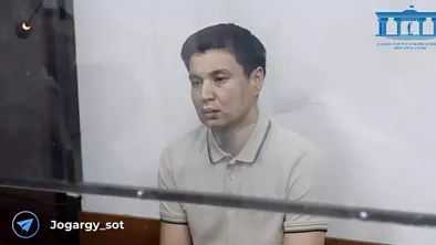 Брат Бишимбаева намерен подать прошение об амнистии