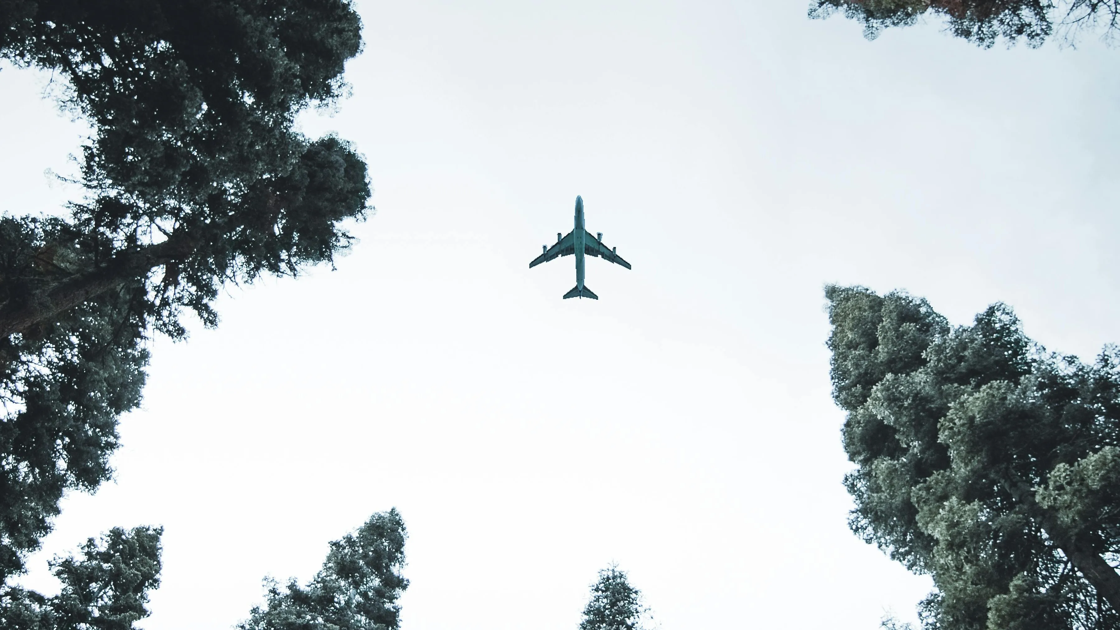 Иллюстративное фото Самолет Air Astana вернулся в аэропорт Алматы по техническим причинам фото на taspanews.kz от 13 августа 2025 13:58