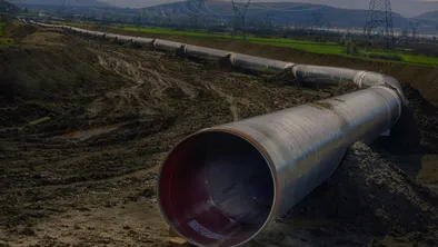 Из ОАЭ экстрадировали подозреваемого в незаконном сбыте нефтепродуктов