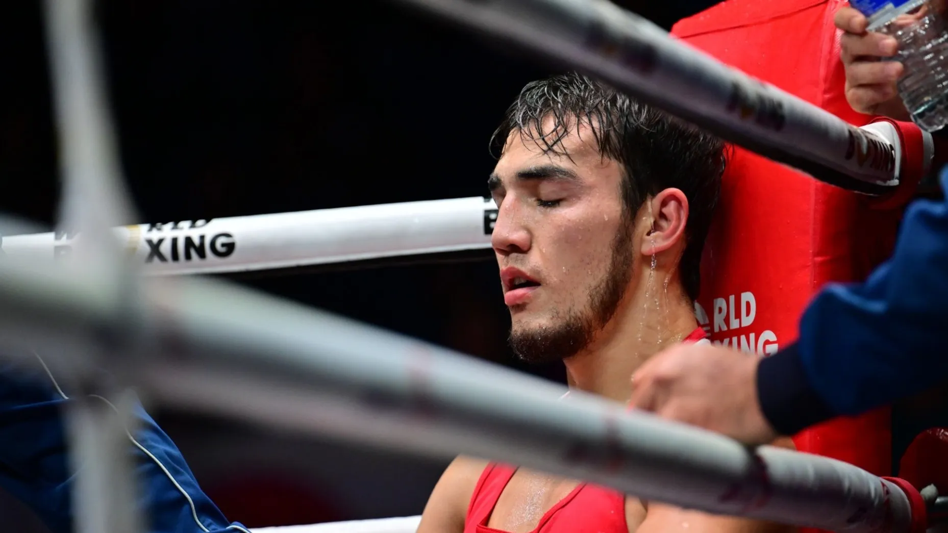 Семей готовится принять чемпионат Казахстана по боксу фото на taspanews.kz от 14 октября 2025 13:20
