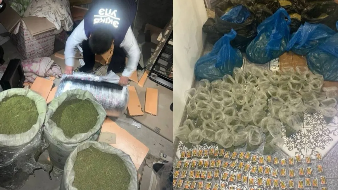 В Актау в подвале нашли 200 кг марихуаны В Актау в подвале нашли 200 кг марихуаны фото на taspanews.kz от 21 октября 2025 16:32