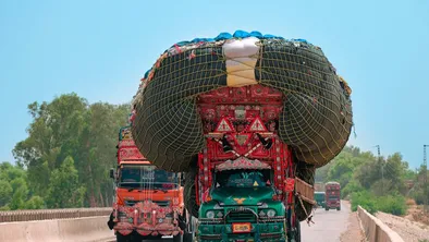 В Костанае пенсионерка погибла под колесами мусоровоза