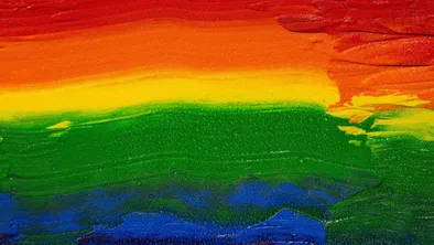 Иллюстративное фото Депутаты приняли новые поправки о запрете пропаганды ЛГБТ