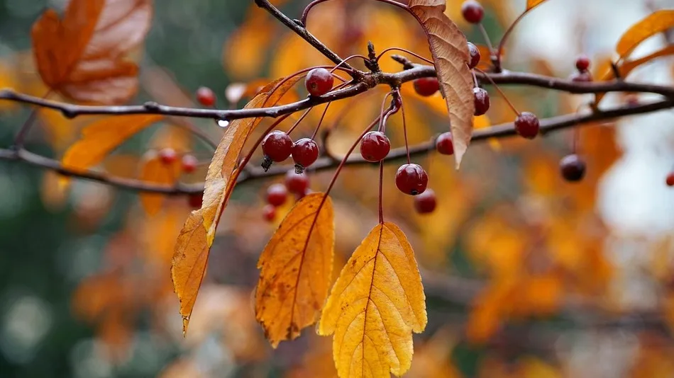 Иллюстративное фото 31 октября: погода в Астане, Алматы и Шымкенте фото на taspanews.kz от 31 октября 2025 08:55
