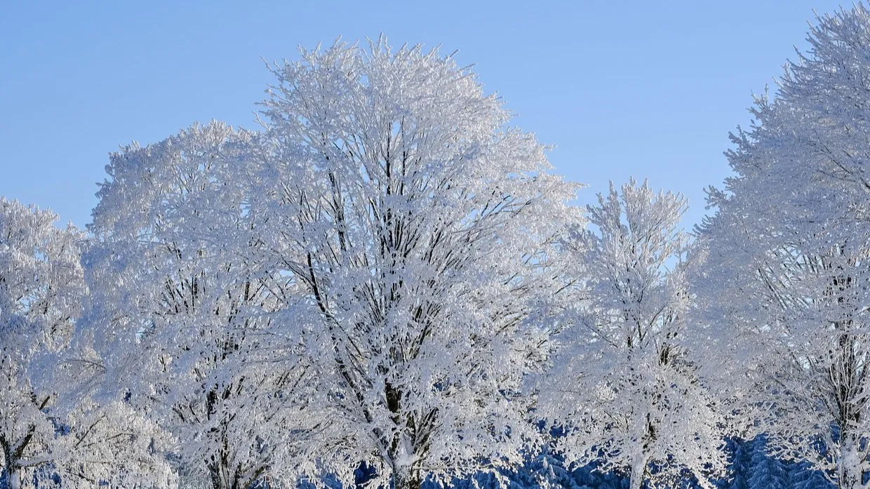 Снег накрыл Алматы: прогноз погоды на сегодня в мегаполисах фото на taspanews.kz от 05 ноября 2025 08:19