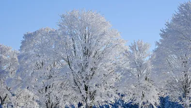 Снег накрыл Алматы: прогноз погоды на сегодня в мегаполисах