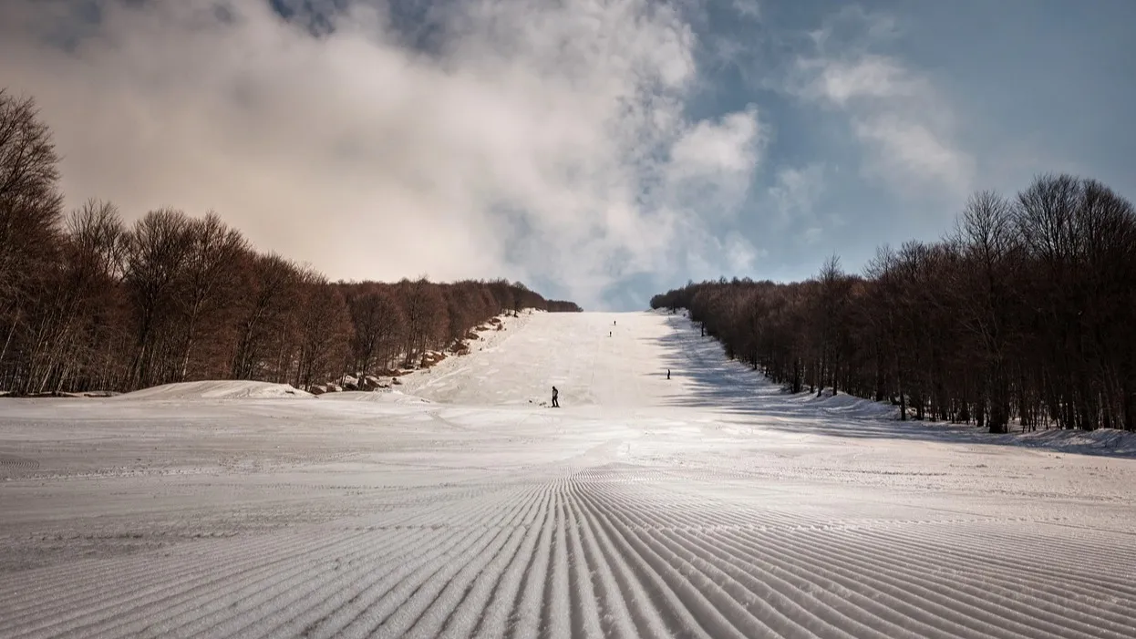 В Алматы пошел первый снег: уже произошло 17 ДТП фото на taspanews.kz от 05 ноября 2025 09:24