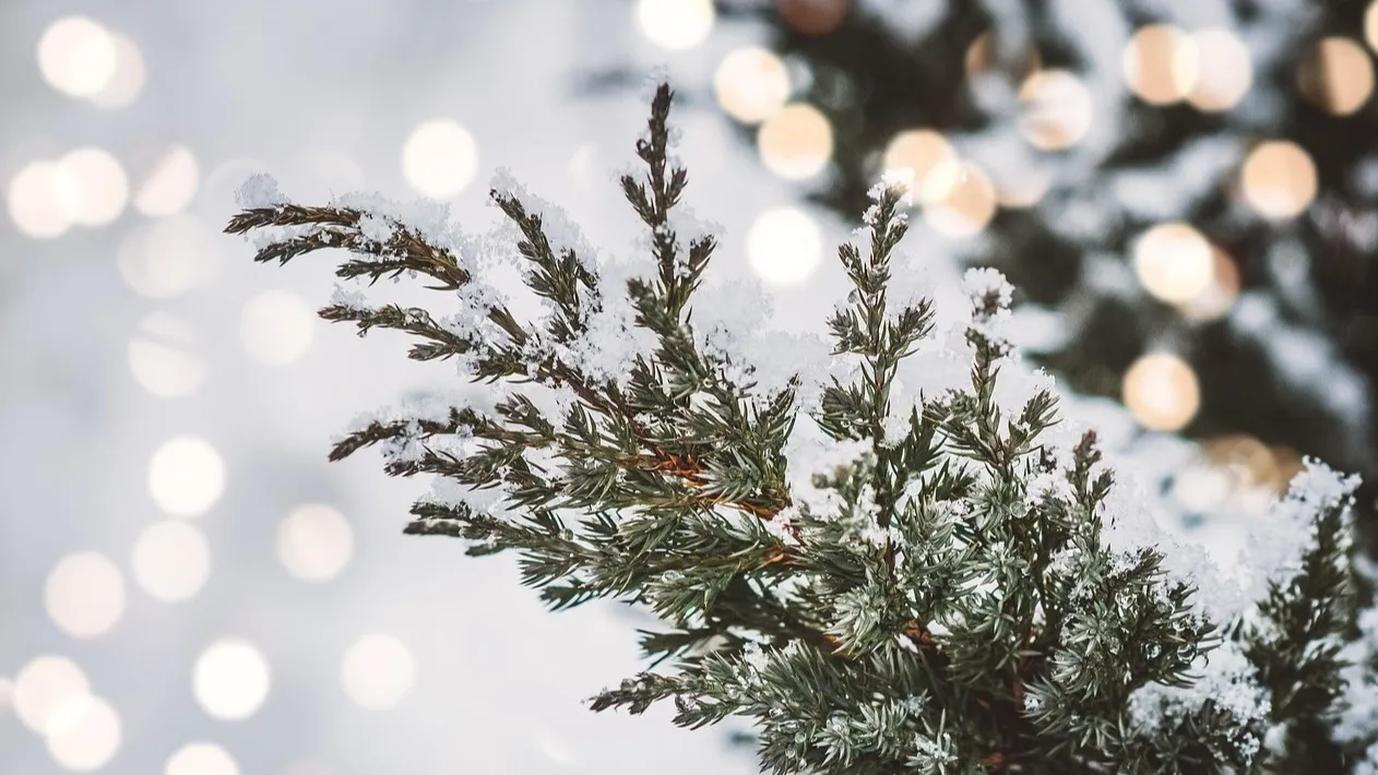 Прогноз погоды на сегодня: в Алматы и Шымкенте потепление фото на taspanews.kz от 06 ноября 2025 08:27