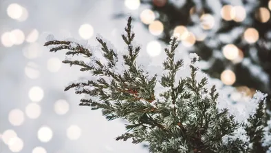 Прогноз погоды на сегодня: в Алматы и Шымкенте потепление