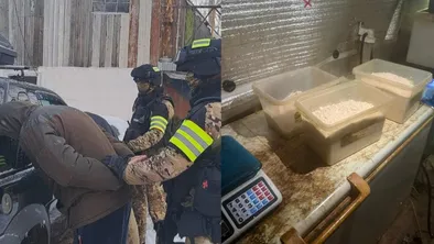 В Караганде изъяли 52 кг психотропов