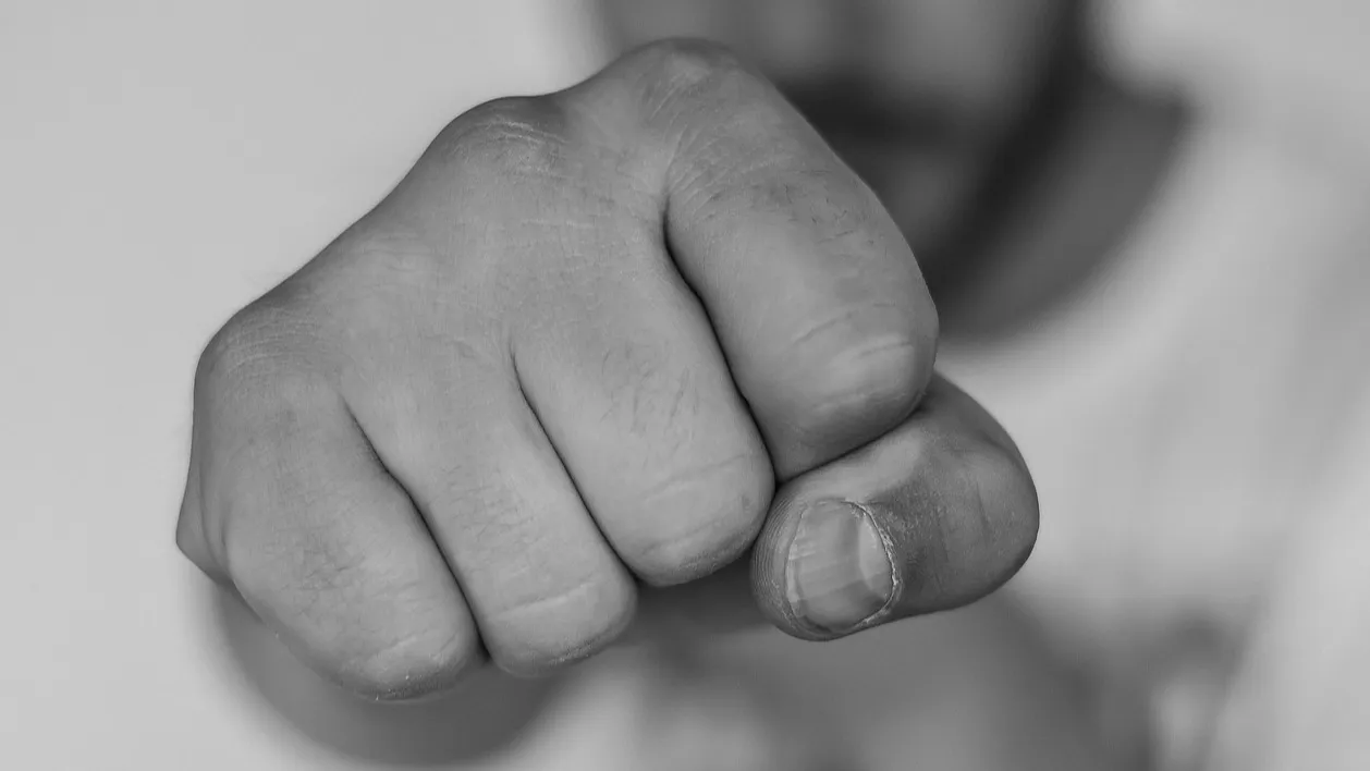 В Алматы произошла массовая драка: задержали шестеро участников фото на taspanews.kz от 06 ноября 2025 11:16