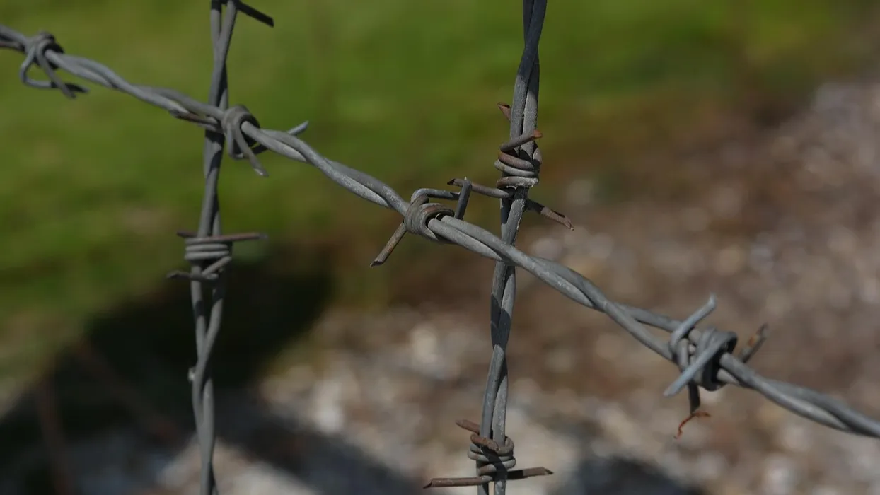 В Усть-Каменогорске расследуют убийство фото на taspanews.kz от 06 ноября 2025 14:06