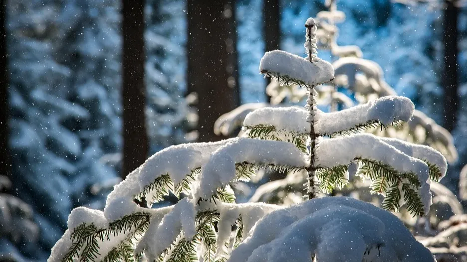 Астана, Алматы, Шымкент: прогноз погоды на 10 ноября фото на taspanews.kz от 10 ноября 2025 08:17