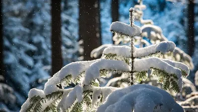 Астана, Алматы, Шымкент: прогноз погоды на 10 ноября