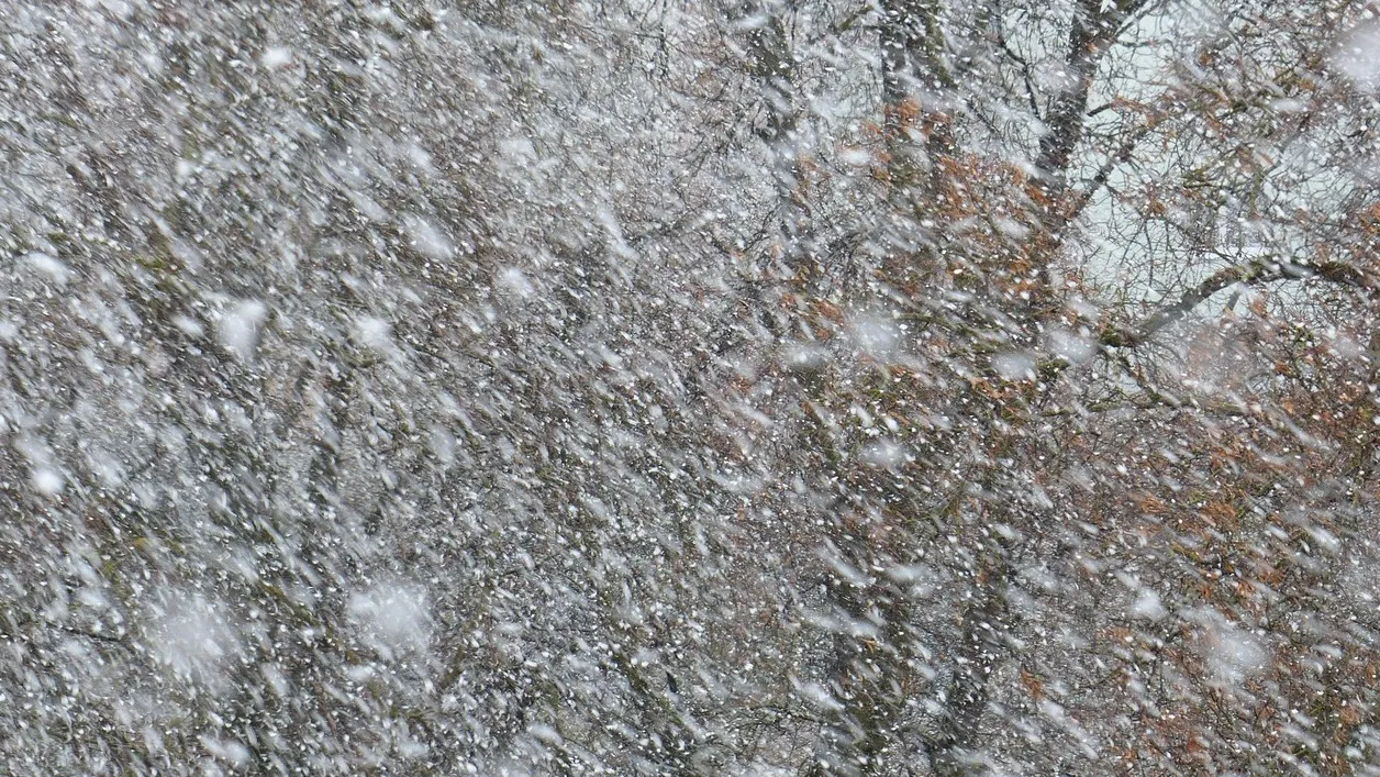 В каком регионе Казахстана школьники перешли на дистанционку? фото на taspanews.kz от 11 ноября 2025 08:34