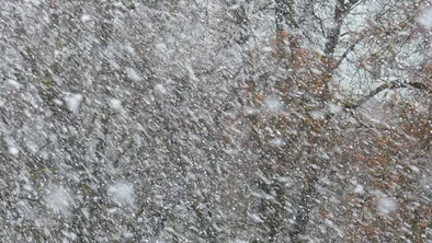 В каком регионе Казахстана школьники перешли на дистанционку?