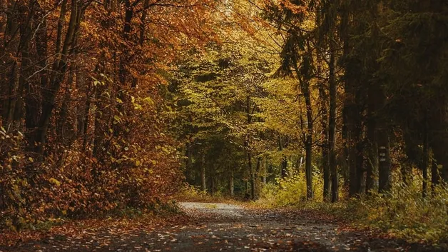 Пятница, 14 ноября: погода в Астане, Алматы и Шымкенте