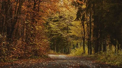 Пятница, 14 ноября: погода в Астане, Алматы и Шымкенте