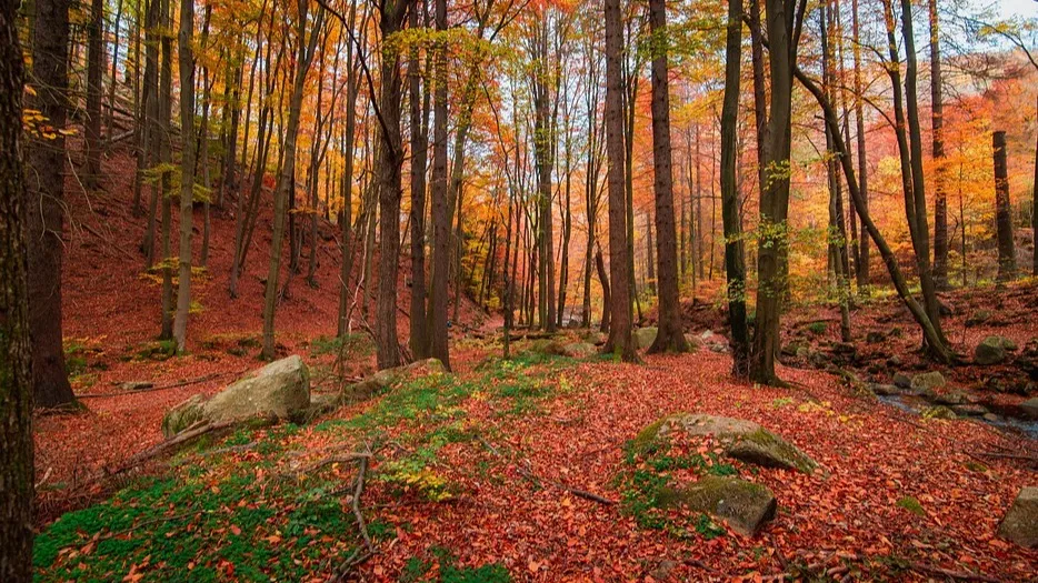 Астана, Алматы, Шымкент: прогноз погоды на сегодня фото на taspanews.kz от 17 ноября 2025 08:32