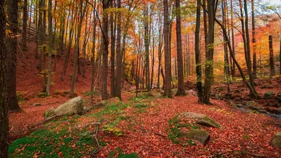 Астана, Алматы, Шымкент: прогноз погоды на сегодня