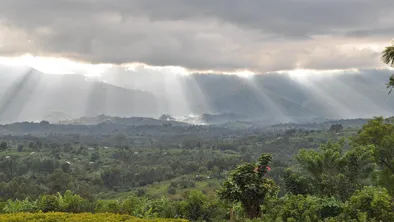 Шахта обрушилась в Конго: число жертв выросло до 30