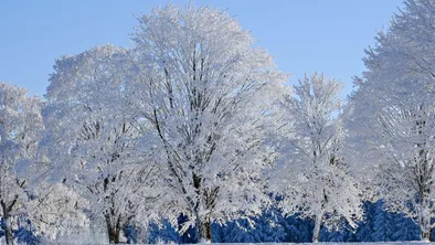 Синоптики предупреждают о возможных паводках в следующем году