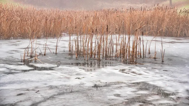 В Кокшетау неизвестный герой спас детей, провалившихся под лед