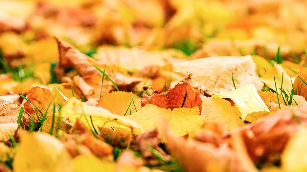 Погода в Астане, Алматы и Шымкенте сегодня фото на taspanews.kz от 18 ноября 2025 08:28