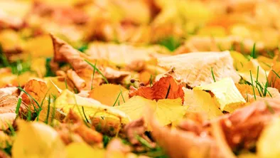 Погода в Астане, Алматы и Шымкенте сегодня