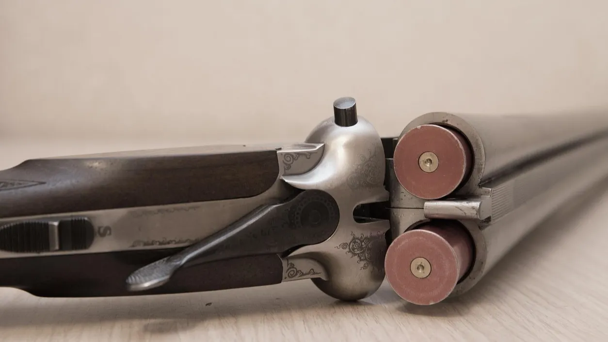 Мужчина на юге Казахстана открыл огонь по полицейскому фото на taspanews.kz от 18 ноября 2025 10:33