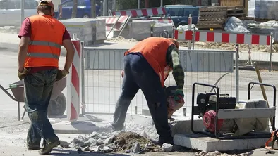 Из каких стран в Казахстан приезжает наибольшее количество трудовых мигрантов?