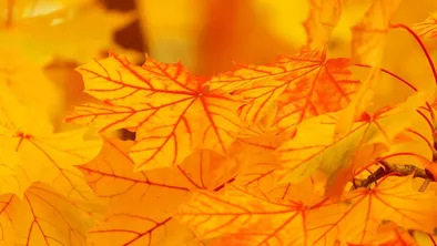 Погода на сегодня: в мегаполисах без осадков