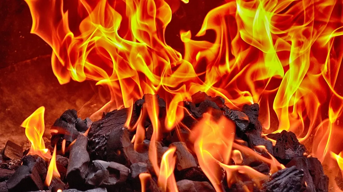 В одном из городов Японии сгорели 170 домов фото на taspanews.kz от 19 ноября 2025 10:49