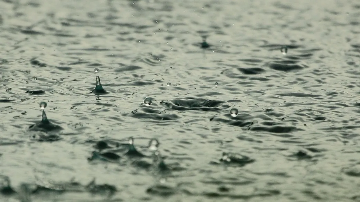 Осадки и плюсовая температура: какая погода ожидает жителей казахстанских мегаполисов сегодня? фото на taspanews.kz от 20 ноября 2025 08:19