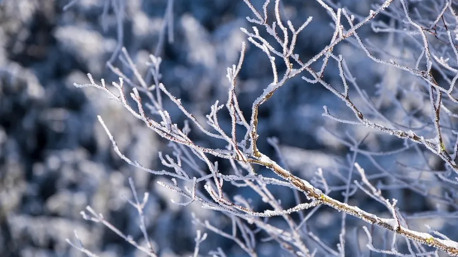 Астана, Алматы, Шымкент: прогноз погоды на сегодня фото на taspanews.kz от 24 ноября 2025 08:28