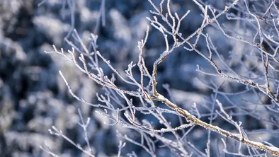 Астана, Алматы, Шымкент: прогноз погоды на сегодня