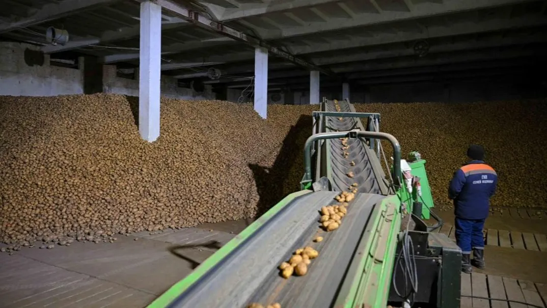 уборочная кампания фото на taspanews.kz от 24 ноября 2025 19:17