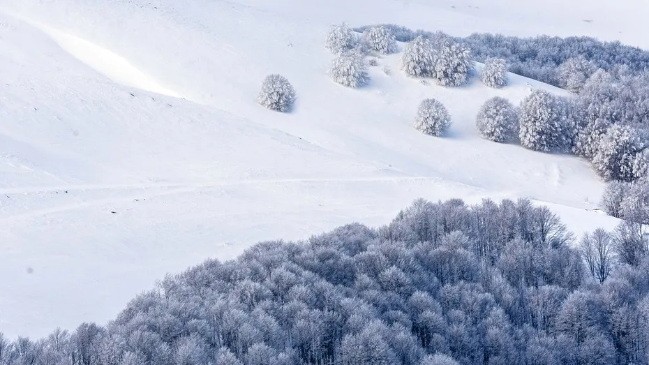 В Усть-Каменогорске пытаются справиться с непогодой фото на taspanews.kz от 25 ноября 2025 09:35