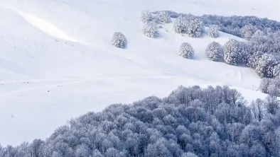 В Усть-Каменогорске пытаются справиться с непогодой