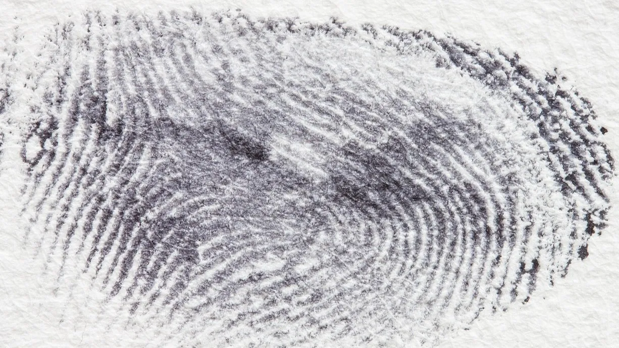 В ЗКО мужчина совершил убийство в пьяном угаре фото на taspanews.kz от 25 ноября 2025 14:51