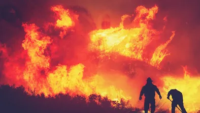 Пожар произошел в Иле-Алатауском парке