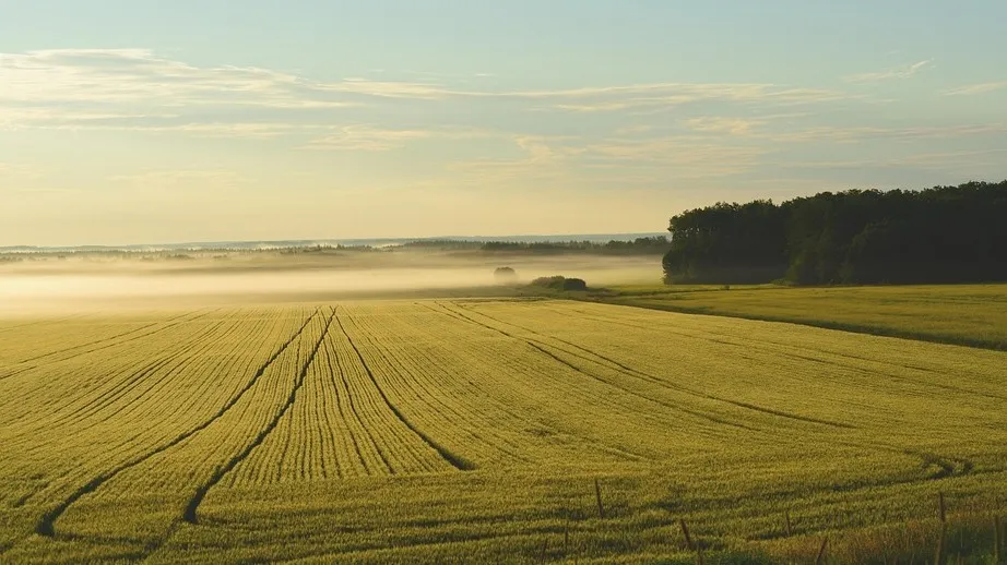 В Жетысу произошло землетрясение фото на taspanews.kz от 26 ноября 2025 08:16