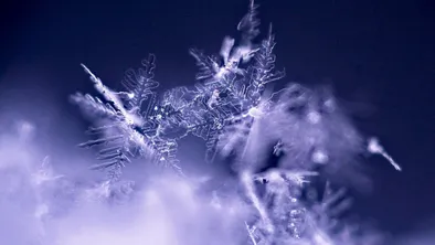 Первый день зимы: погода в Астане, Алматы и Шымкенте