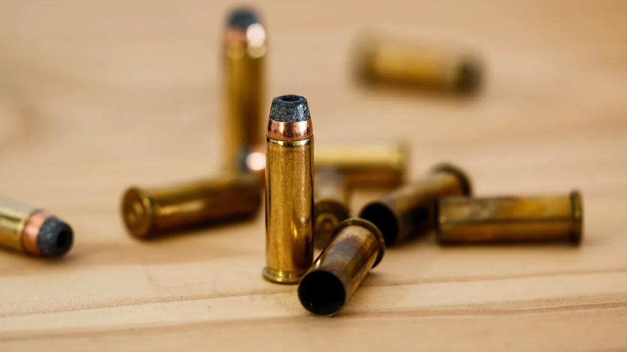 В США неизвестный расстрелял троих детей на празднике фото на taspanews.kz от 01 декабря 2025 09:41