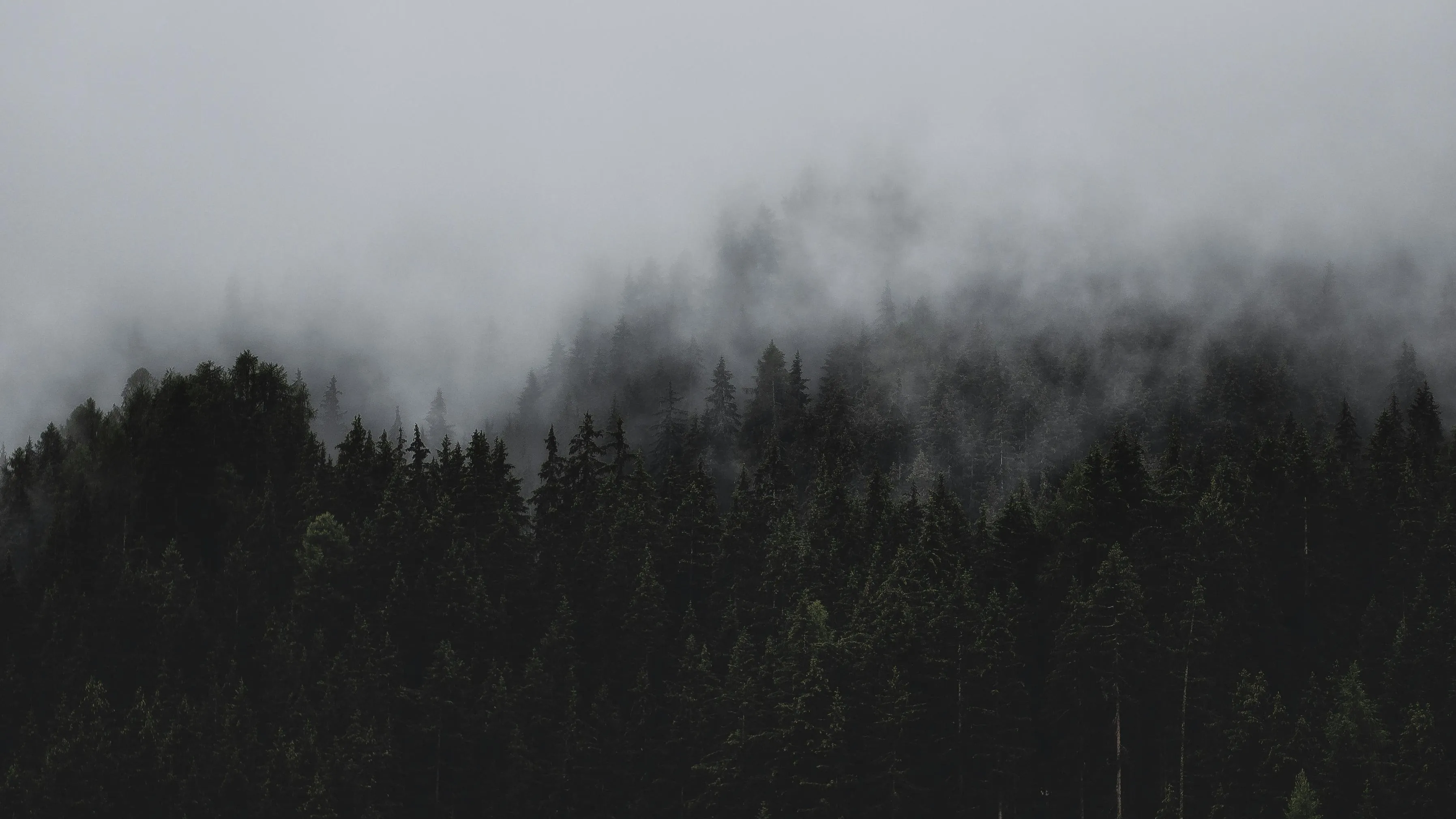 В каких случаях школьников могут перевести на "удаленку" из-за грязного воздуха? фото на taspanews.kz от 01 декабря 2025 10:18