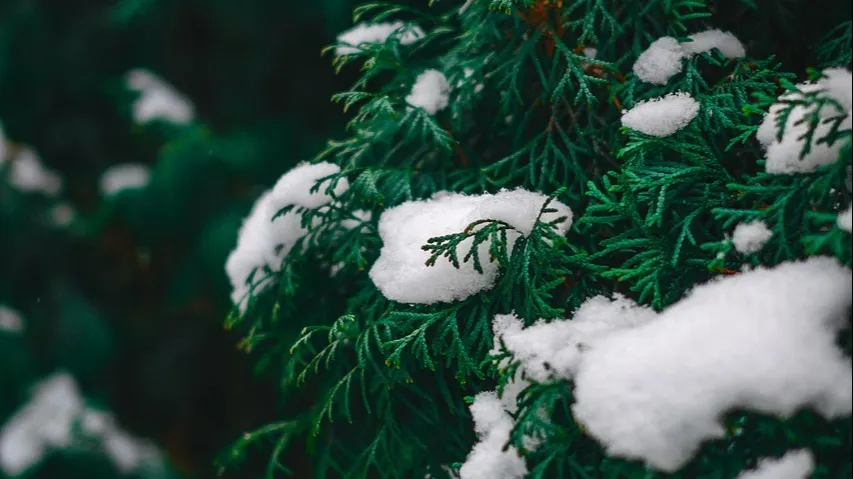 Осадки и мороз: прогноз погоды в Астане, Алматы и Шымкенте фото на taspanews.kz от 04 декабря 2025 08:24