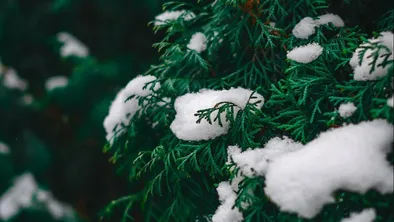 Осадки и мороз: прогноз погоды в Астане, Алматы и Шымкенте