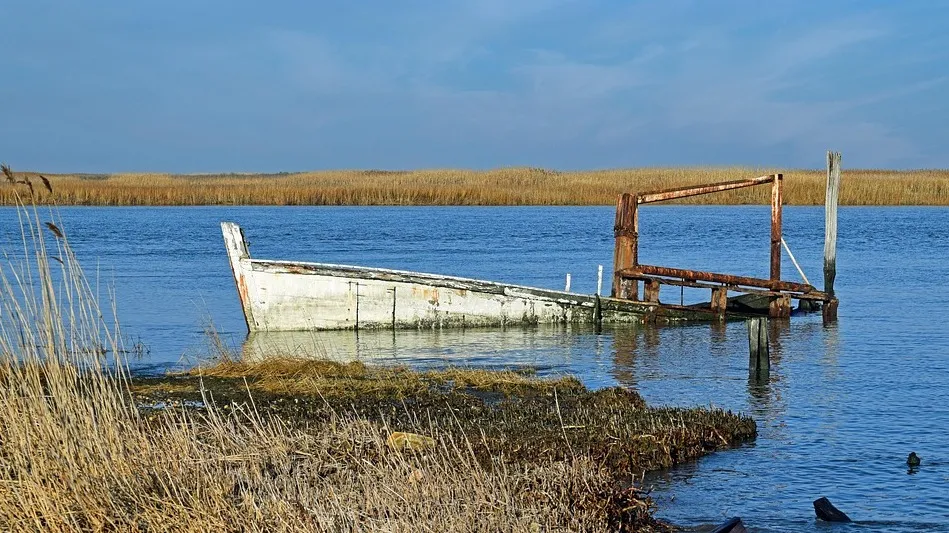 В Акмолинской области нашли тело пропавшего мужчины фото на taspanews.kz от 05 декабря 2025 08:58